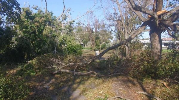 Naples Cambier Park after Irma 2
